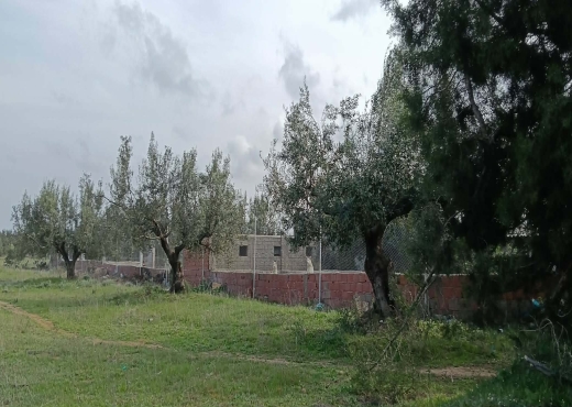 Terrain agricole à vendre - image 2