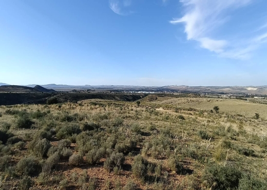 26 hectares à vendre - image 3