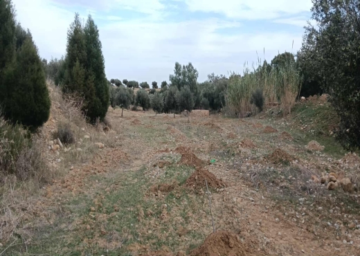 TERRAIN A VENDRE - image 2