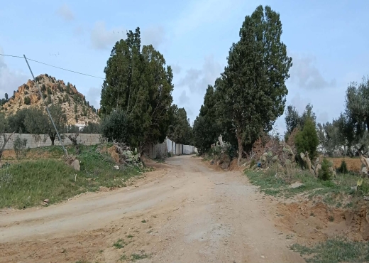 Terrain agricole à vendre - image 4