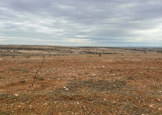 Terrain agricole à vendre - image 2