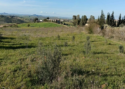 TERRAIN AGRICOLE A VENDRE - image 3