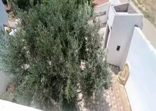 villa à vendre - image 2