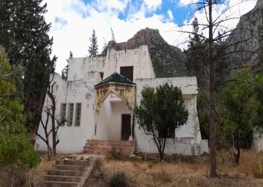 terrain à vendre - image 2