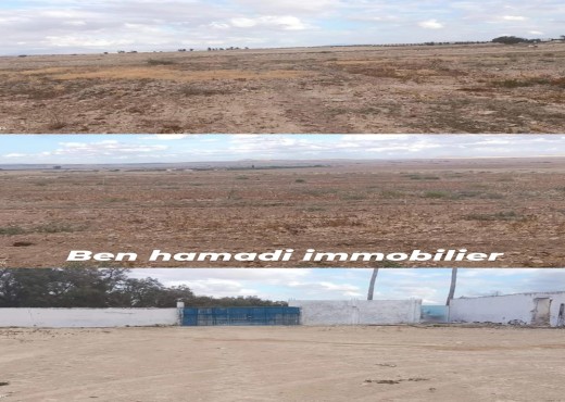 terrain agricole - image 2