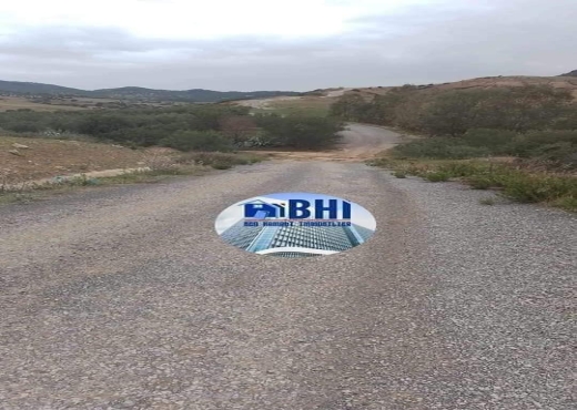 terrain agricole à vendre - image 3